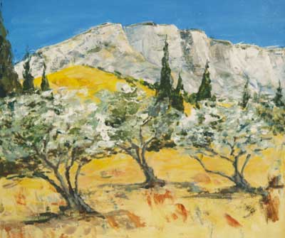olive trees in Provence